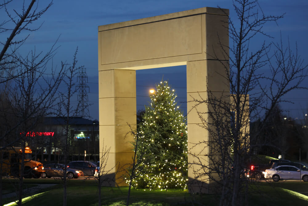 Charlotte Christmas tree commemorates domestic violence victims